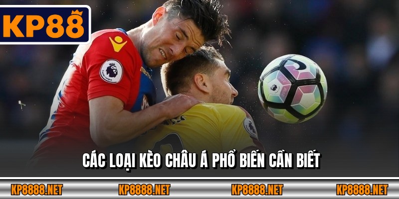 Các loại kèo châu Á phổ biến cần biết