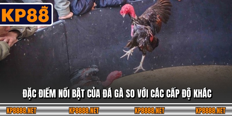 Đặc điểm nổi bật của đá gà so với các cấp độ khác