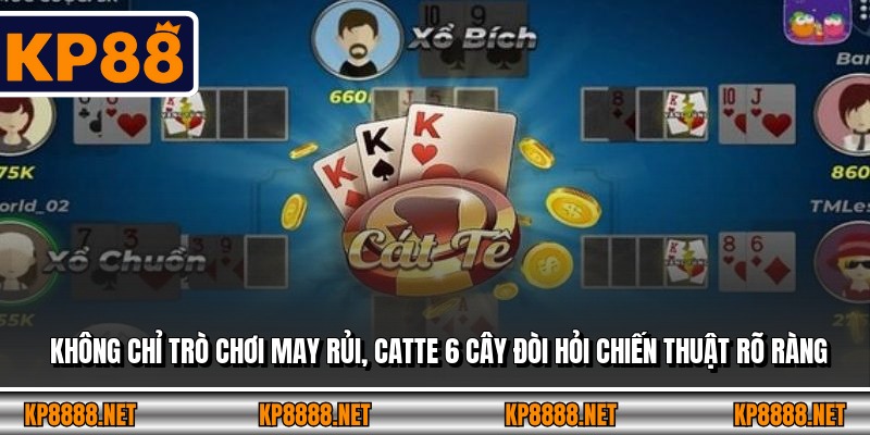 Không chỉ trò chơi may rủi, Catte 6 cây đòi hỏi chiến thuật rõ ràng