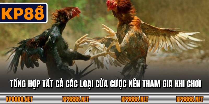 Tổng hợp tất cả các loại cửa cược nên tham gia khi chơi 