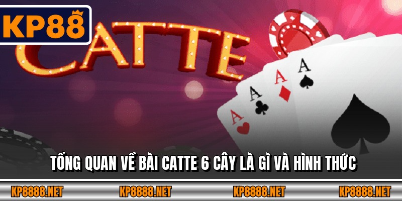 Tổng quan về bài Catte 6 cây là gì và hình thức
